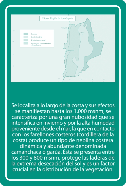 Portada Reverso